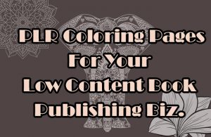 PLR Coloring Pages For Your Low Content Book Publishing Business - Post